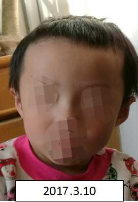 肏肏网